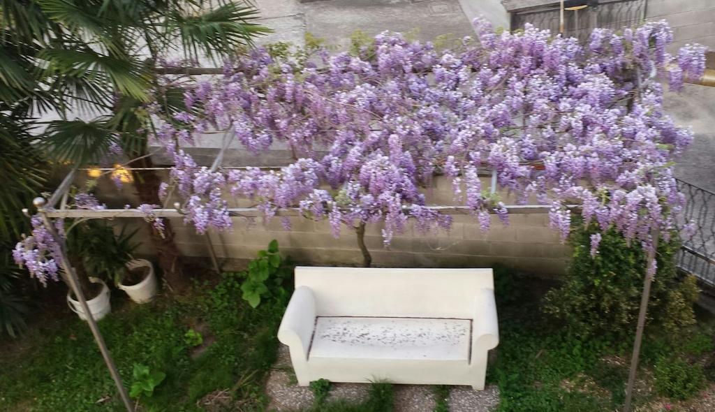 קורסיקו B&B Della Spiga מראה חיצוני תמונה